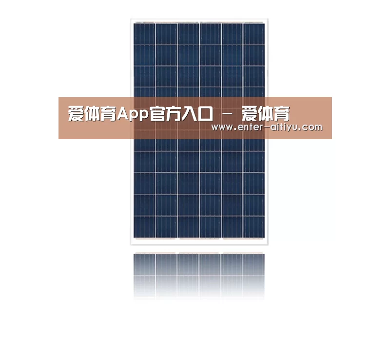 产品名称一