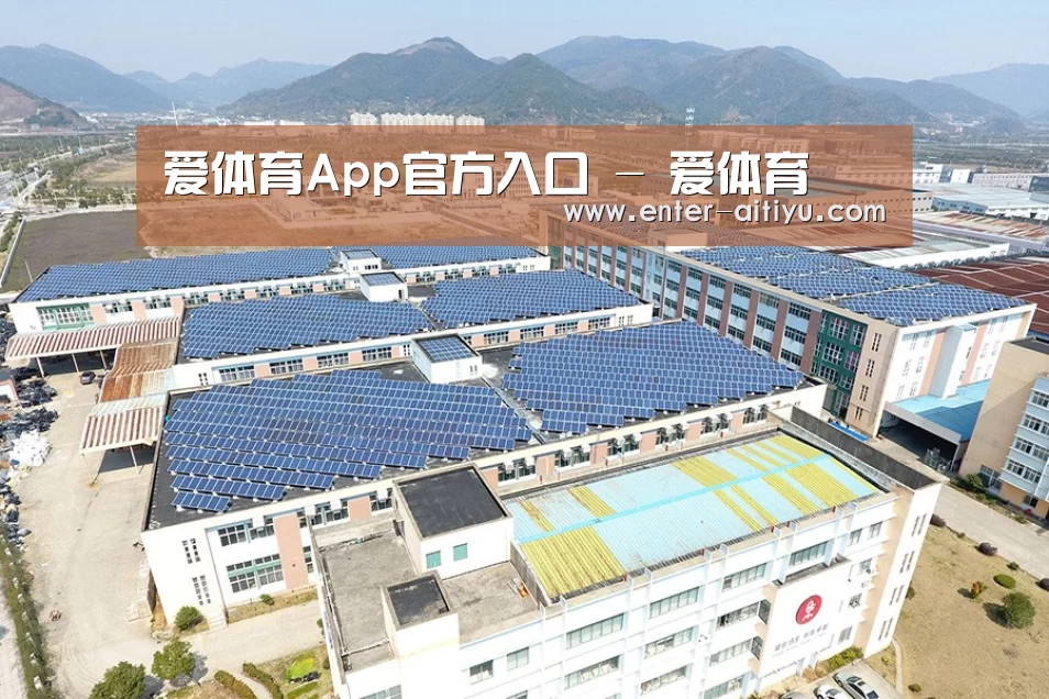 案例展示四