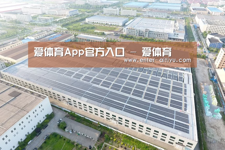 案例展示三