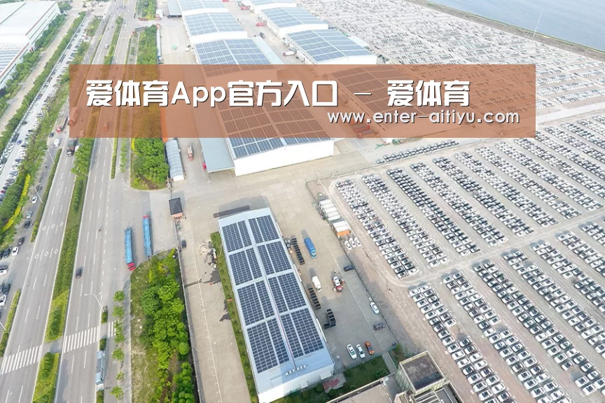 案例展示一
