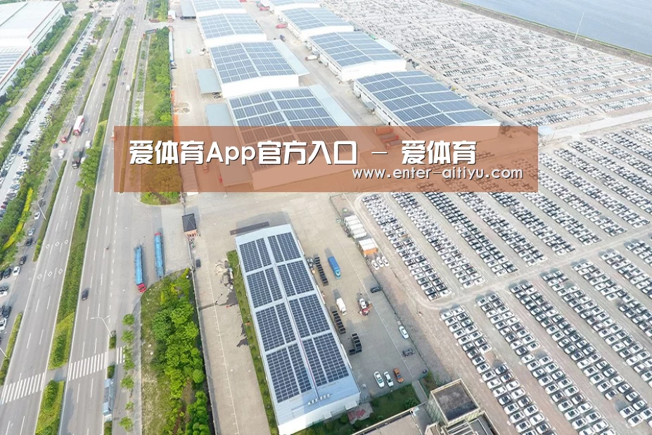 案例展示二